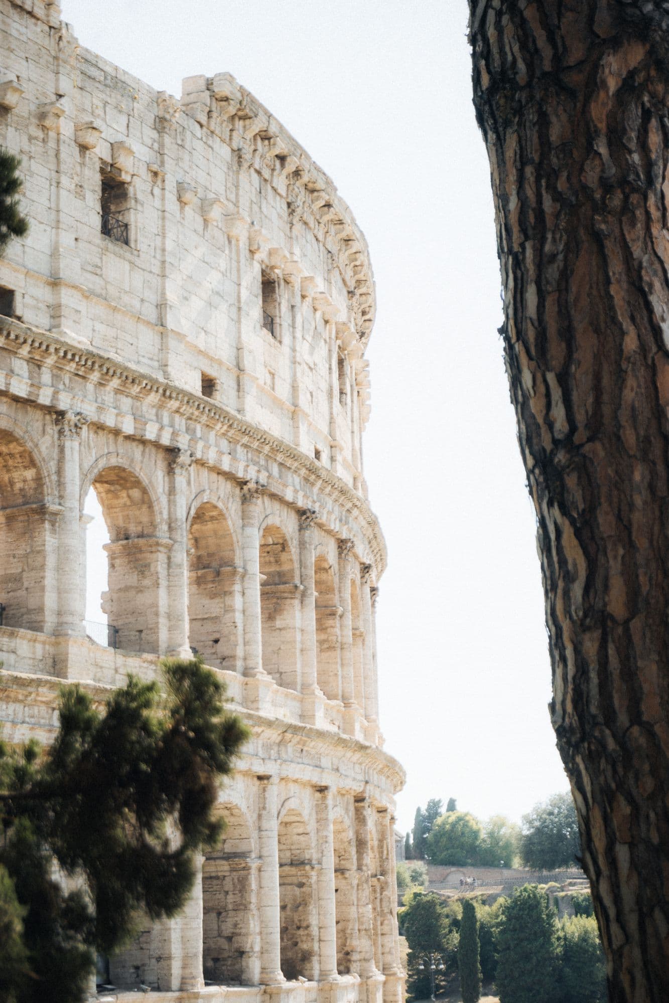 Complete Colosseum Guide 2026: Everything You Need to Know